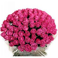 ����� � 62 ���� � ���������������� ��������� ��������