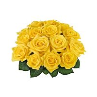 ����� � 91 ���� � ���������������� ��������� ��������