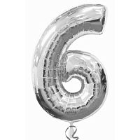 ����� ������� 6 ���� � ���������������� ��������� ��������