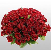 ����� � 51 ���� � ���������������� ��������� ��������