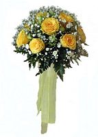 ����� � 11 ���� � ���������������� ��������� ��������