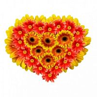 ���������� � 133 ���� � ���������������� ��������� ��������