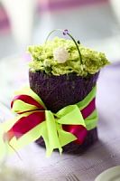 ���������� � 172 ���� � ���������������� ��������� ��������