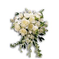 ����� � 18 ���� � ���������������� ��������� ��������