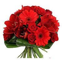 ����� � 59 ���� � ���������������� ��������� ��������