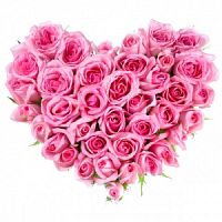 ���������� � 135 ���� � ���������������� ��������� ��������