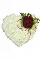 ���������� � 137 ���� � ���������������� ��������� ��������