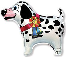 ���������� � ������� ���� � ���������������� ��������� ��������